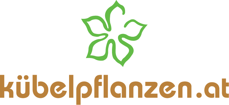 kuebelpflanzen.at Logo